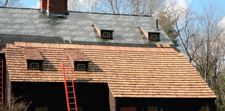 Wood Roof